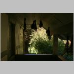 20080929018_Freilichtmuseum_Ballenberg.jpg
